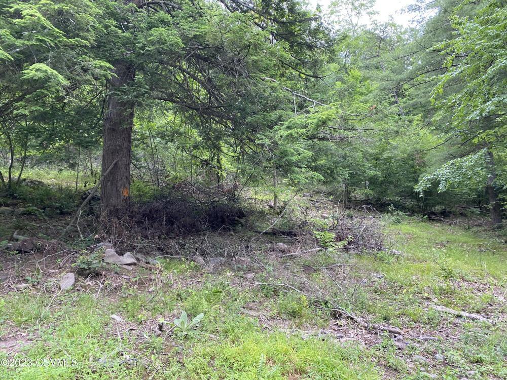LEE, 20-94437, Mocanaqua, Land,  for sale, Realty World Masich & Dell